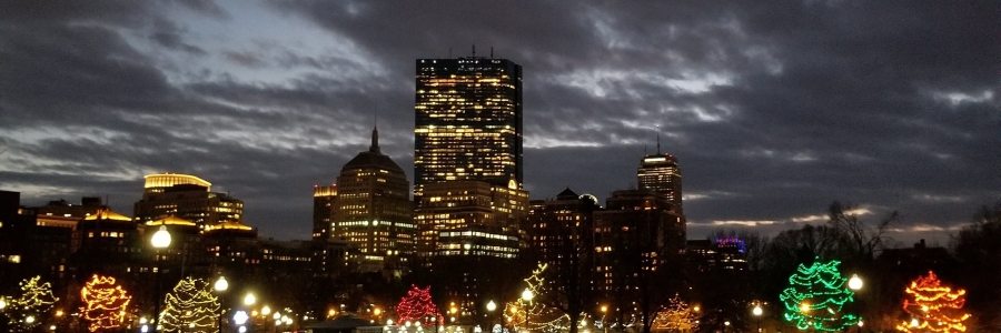 Boston Common Lights and Skyline