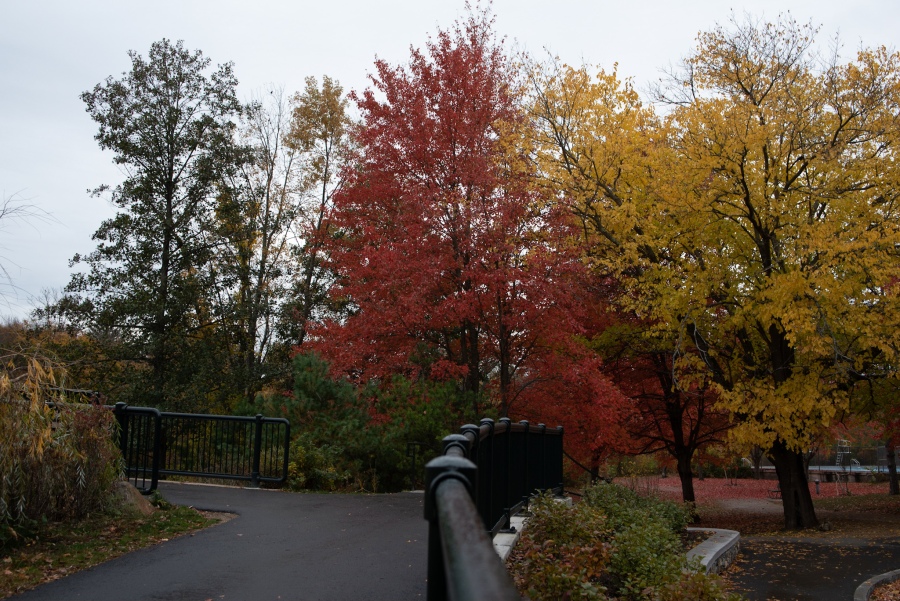 New England Fall Foliage, Fall Photography